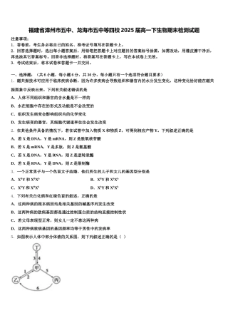 福建省漳州市五中、龙海市五中等四校2025届高一下生物期末检测试题含解析