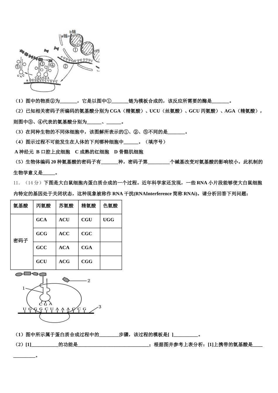 福州教育学院附属中学2024-2025学年高一生物第二学期期末学业水平测试模拟试题含解析_第3页