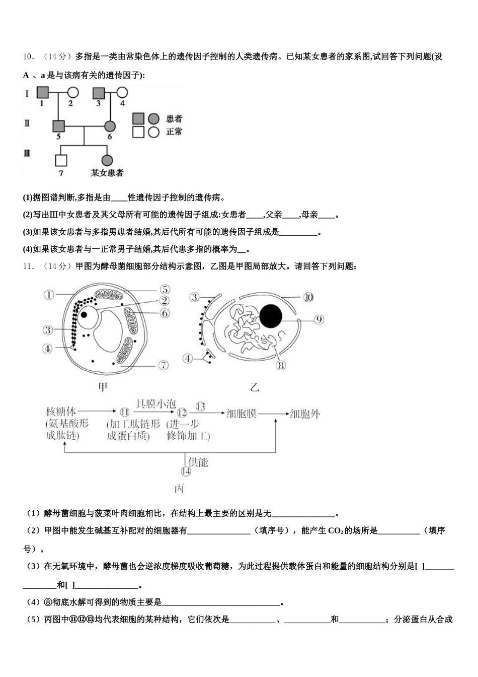 福建省福州永泰第一中学2025年生物高一下期末联考试题含解析_第3页