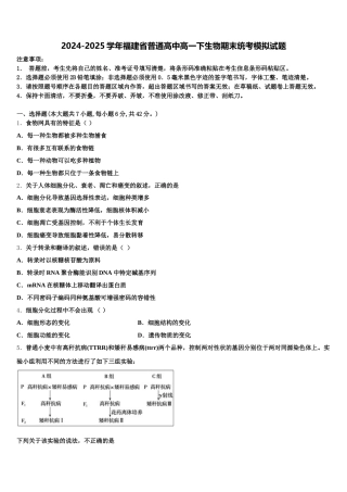 2024-2025学年福建省普通高中高一下生物期末统考模拟试题含解析