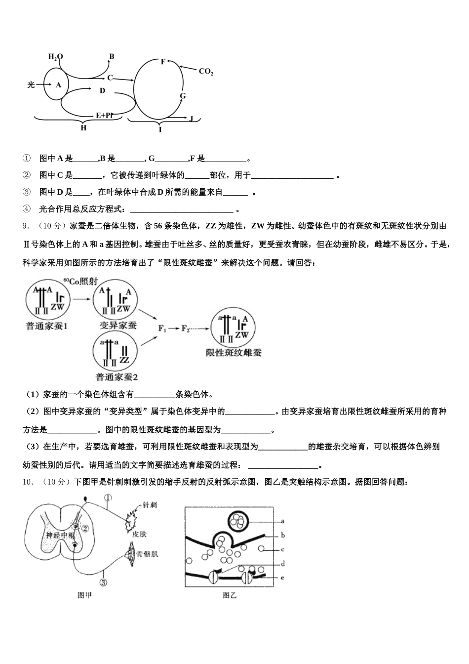 2025年福建省福州第八中学高一下生物期末综合测试模拟试题含解析_第3页