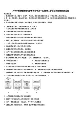 2025年福建师范大学附属中学高一生物第二学期期末达标测试试题含解析