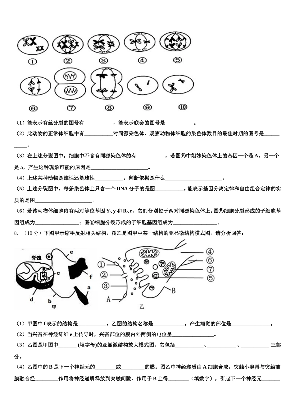 2025届福建省南安市华侨中学生物高一下期末学业质量监测试题含解析_第2页