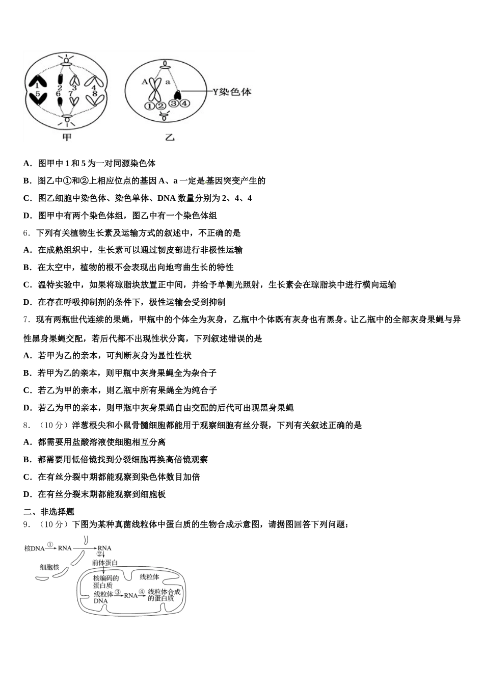 2025年福建省霞浦县第一中学高一生物第二学期期末考试模拟试题含解析_第2页