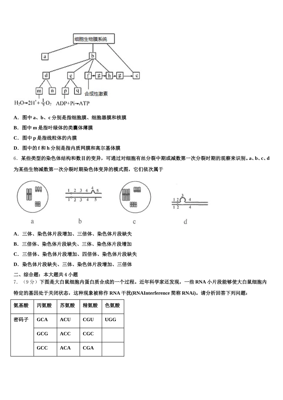 2025年福建省漳州第八中学生物高一第二学期期末质量跟踪监视试题含解析_第2页
