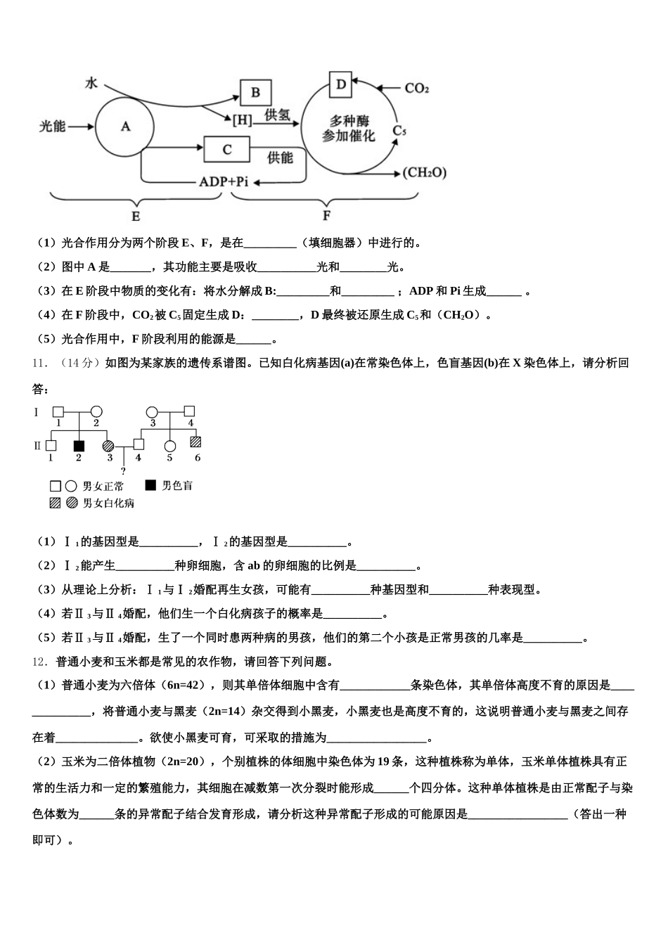 福建省龙岩市龙岩第一中学2025届生物高一第二学期期末检测模拟试题含解析_第3页