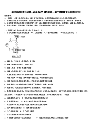 福建省龙岩市龙岩第一中学2025届生物高一第二学期期末检测模拟试题含解析