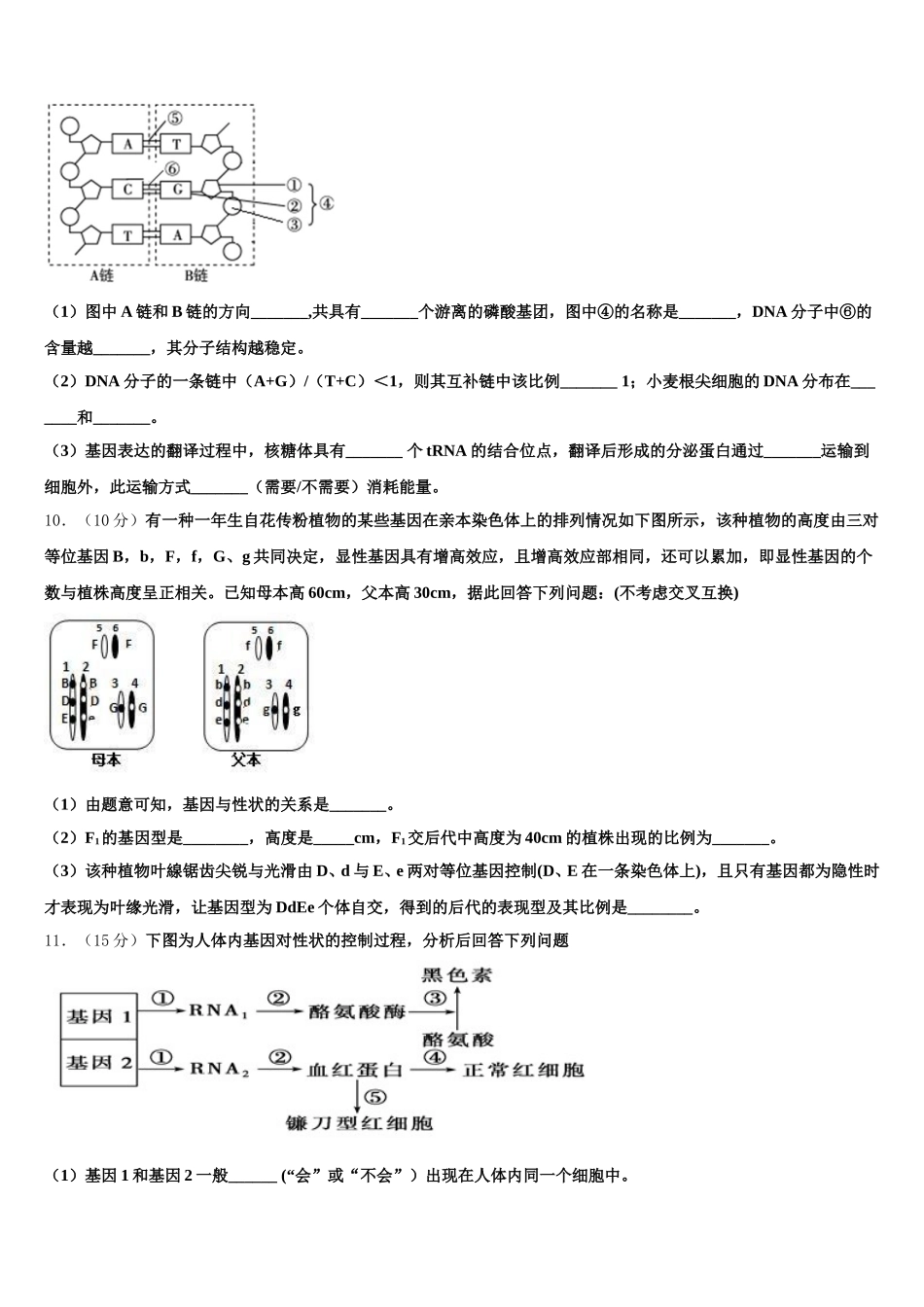 2025年福建省建瓯市芝华中学高一下生物期末达标检测模拟试题含解析_第3页