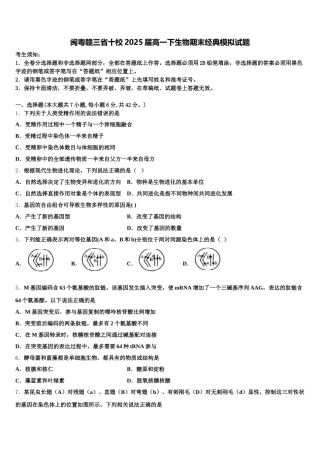 闽粤赣三省十校2025届高一下生物期末经典模拟试题含解析