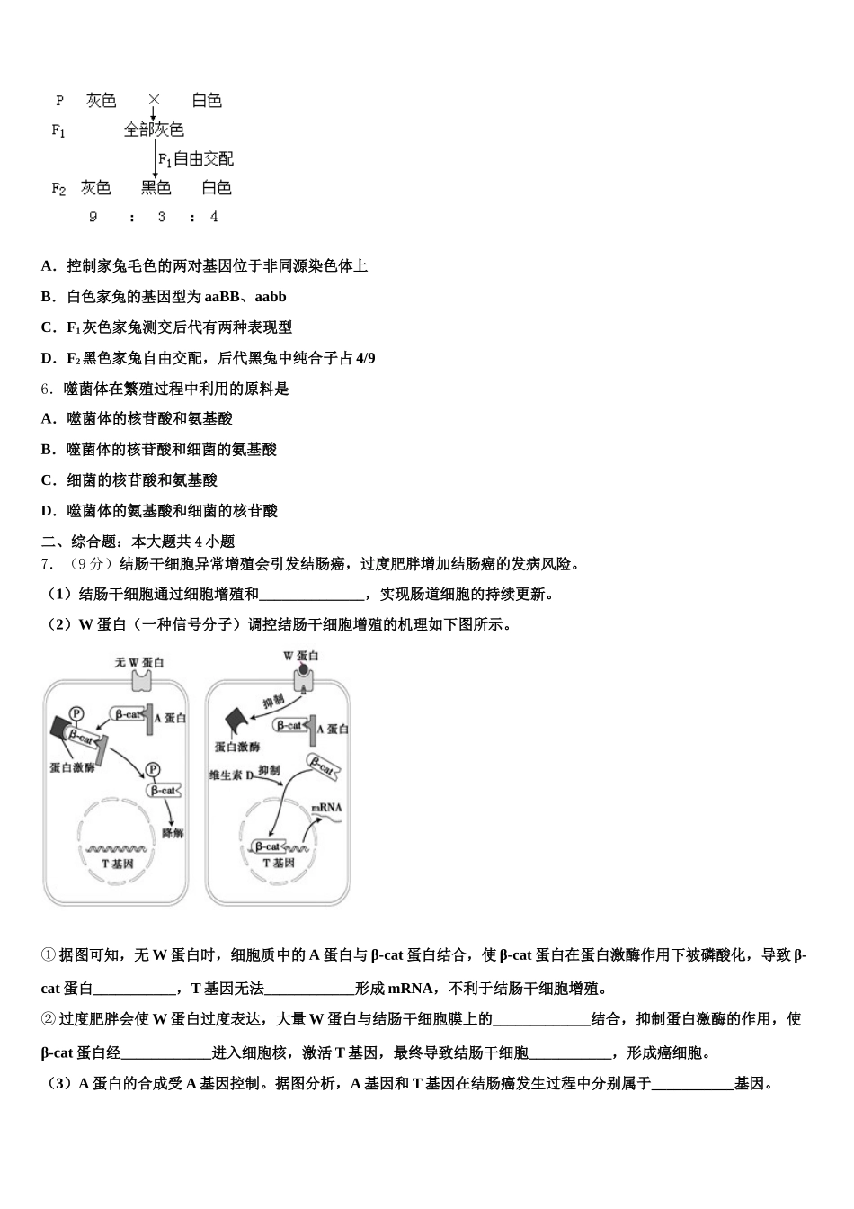 2025届福建厦门湖滨中学生物高一下期末预测试题含解析_第2页