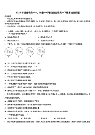 2025年福建华安一中、长泰一中等四校生物高一下期末检测试题含解析