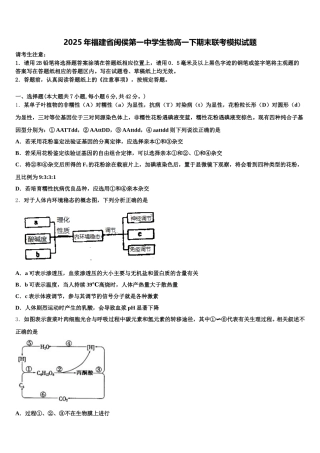 2025年福建省闽侯第一中学生物高一下期末联考模拟试题含解析