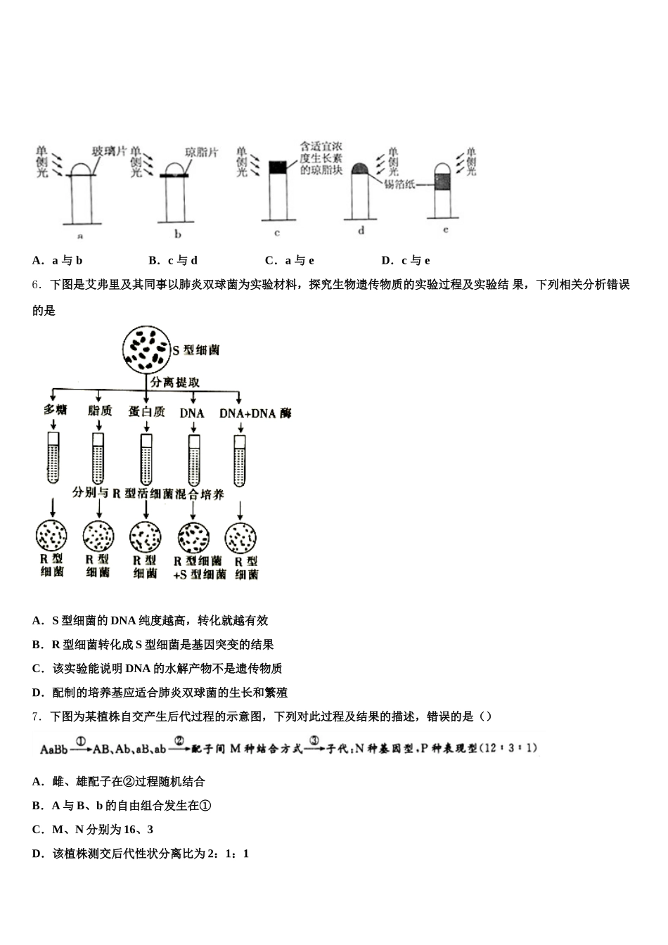 2025年福建省福州市闽侯县第八中学高一生物第二学期期末学业水平测试试题含解析_第2页