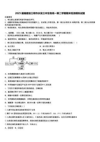 2025届福建省三明市永安三中生物高一第二学期期末检测模拟试题含解析