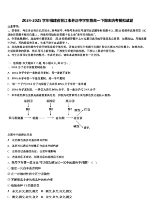 2024-2025学年福建省晋江市养正中学生物高一下期末统考模拟试题含解析