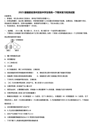 2025届福建省漳州实验中学生物高一下期末复习检测试题含解析