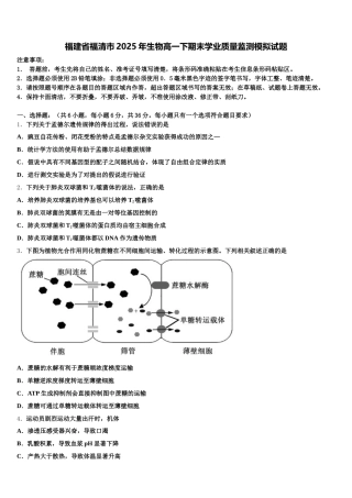 福建省福清市2025年生物高一下期末学业质量监测模拟试题含解析