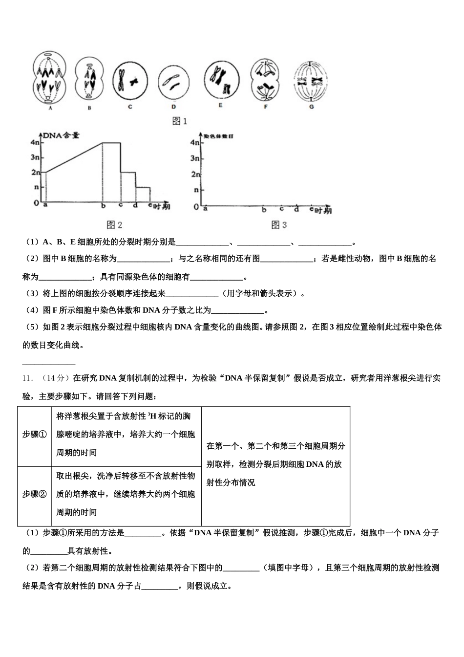 2024-2025学年福建省邵武七中生物高一下期末质量跟踪监视模拟试题含解析_第3页