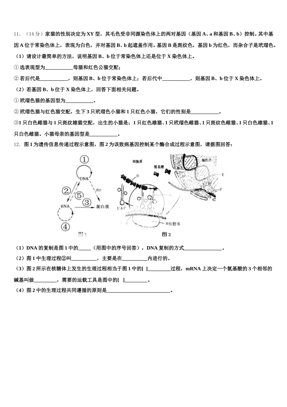 2025届福建省福州市闽侯八中高一下生物期末经典模拟试题含解析_第3页