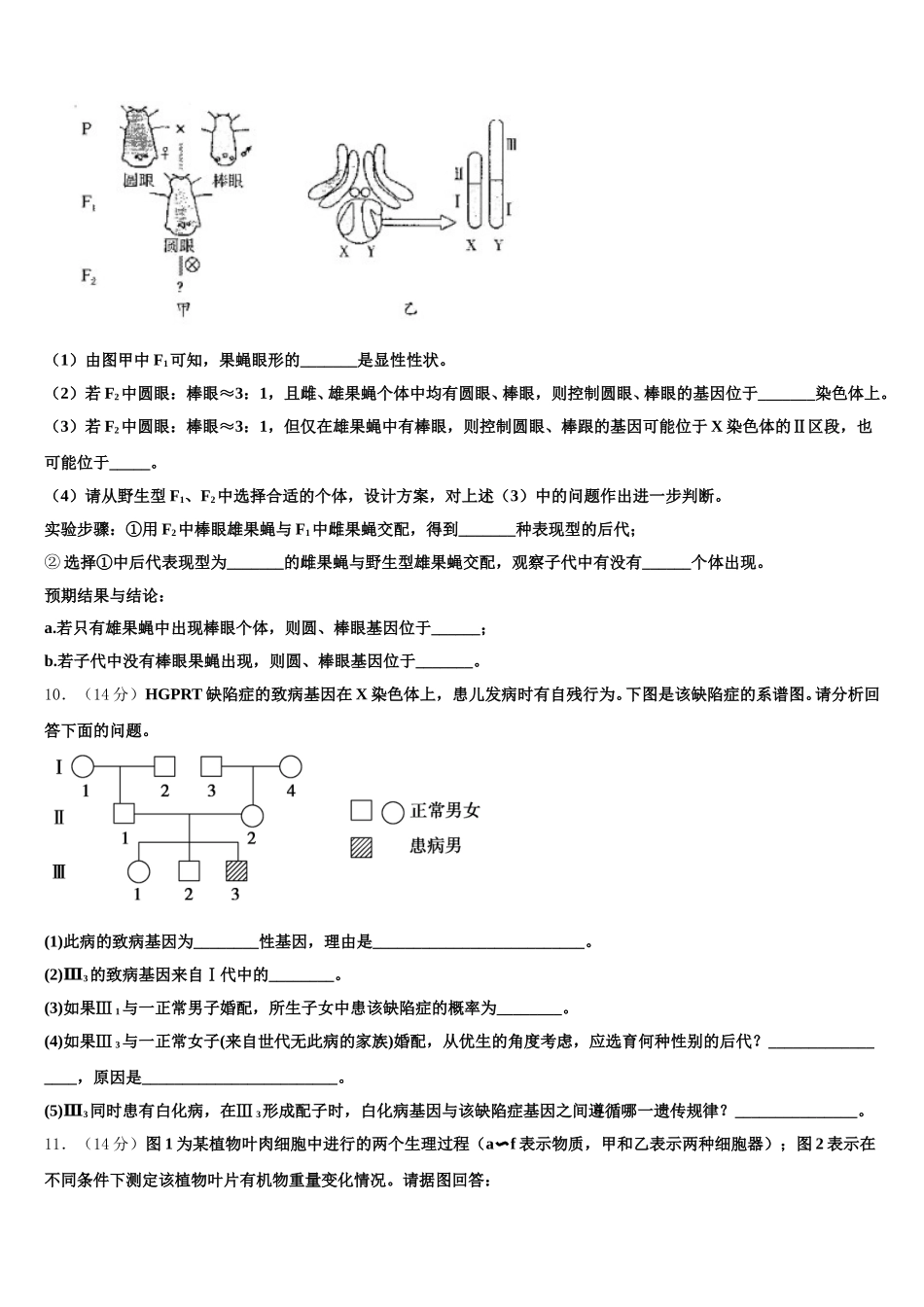漳州市重点中学2025年高一生物第二学期期末综合测试试题含解析_第3页