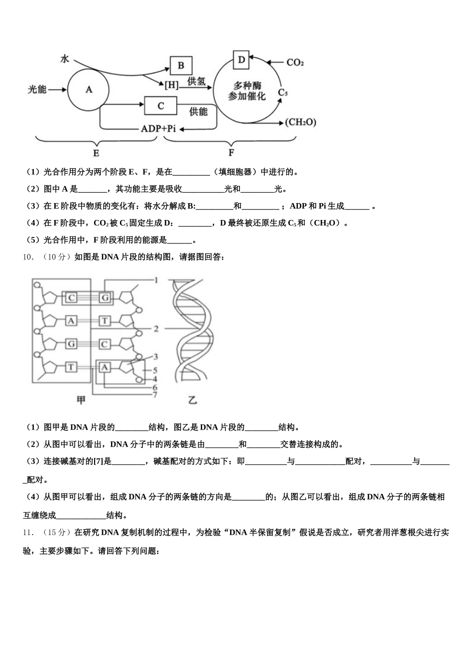 2025年福建省龙岩市一级达标校生物高一第二学期期末教学质量检测模拟试题含解析_第3页