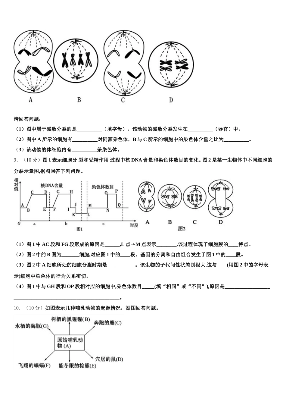 2025届福建省漳州市龙海程溪中学高一下生物期末考试模拟试题含解析_第3页