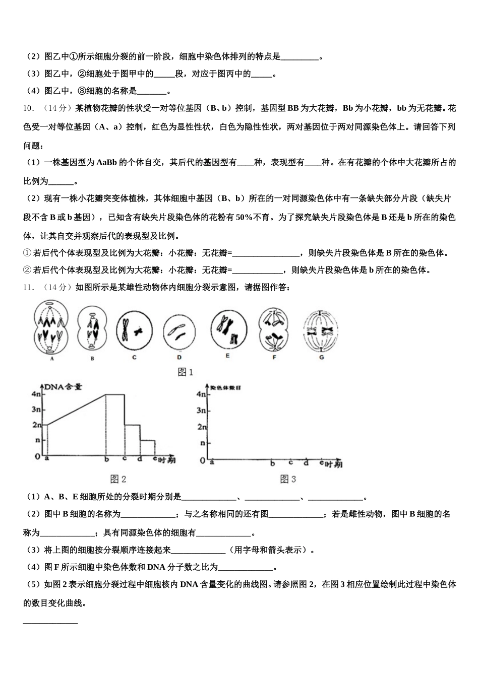 2024-2025学年福建省厦门市厦门一中生物高一下期末教学质量检测试题含解析_第3页