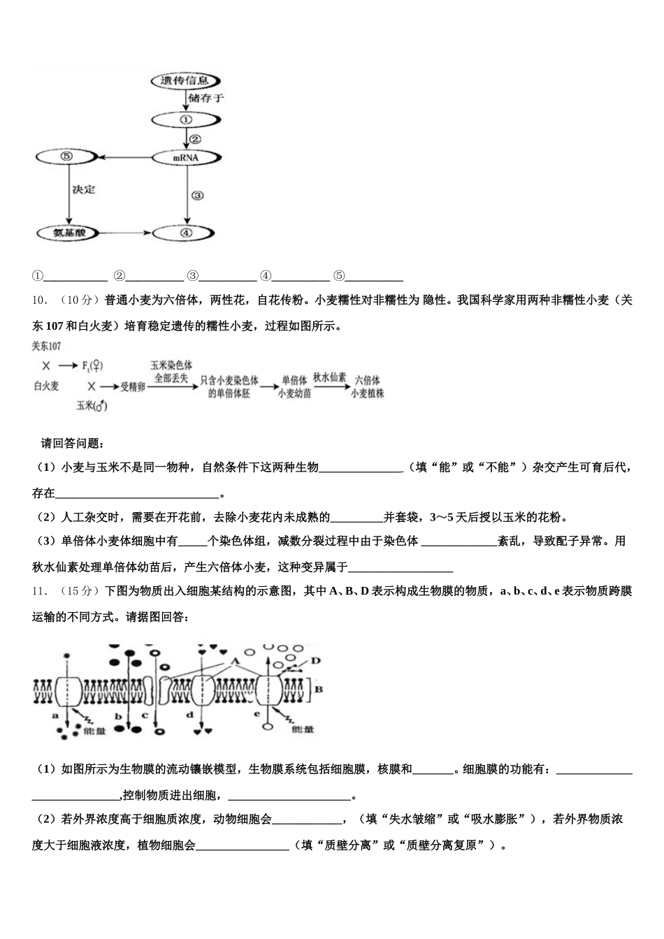 福建省上杭县第一中学等六校2025届生物高一下期末综合测试模拟试题含解析_第3页