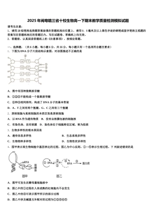 2025年闽粤赣三省十校生物高一下期末教学质量检测模拟试题含解析