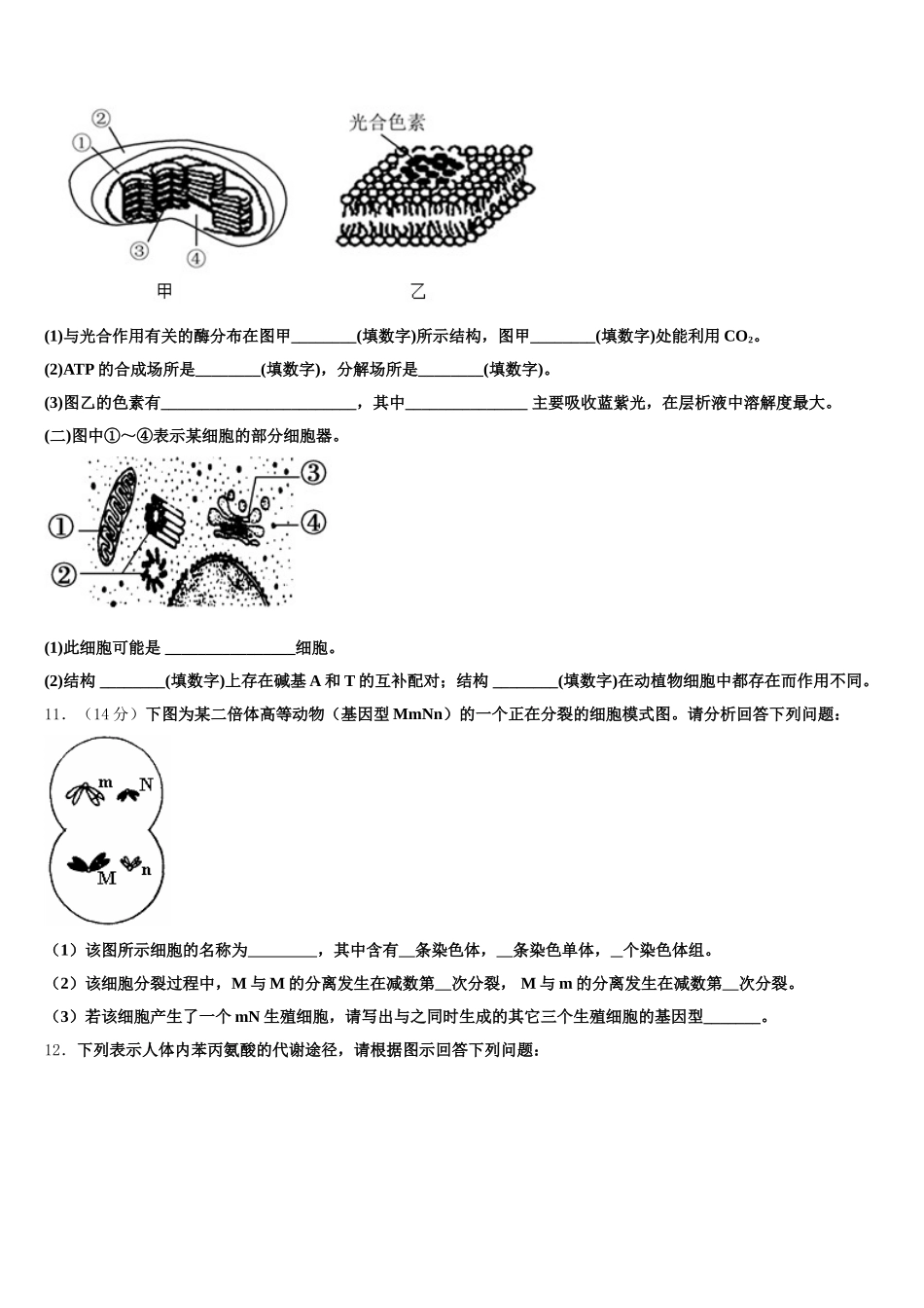 福建省厦门市湖里区双十中学2025届生物高一第二学期期末考试试题含解析_第3页