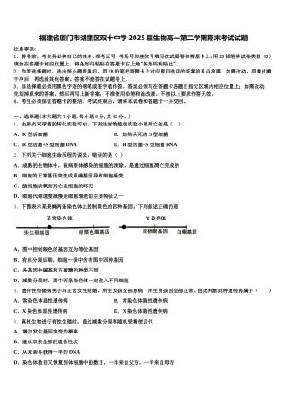 福建省厦门市湖里区双十中学2025届生物高一第二学期期末考试试题含解析
