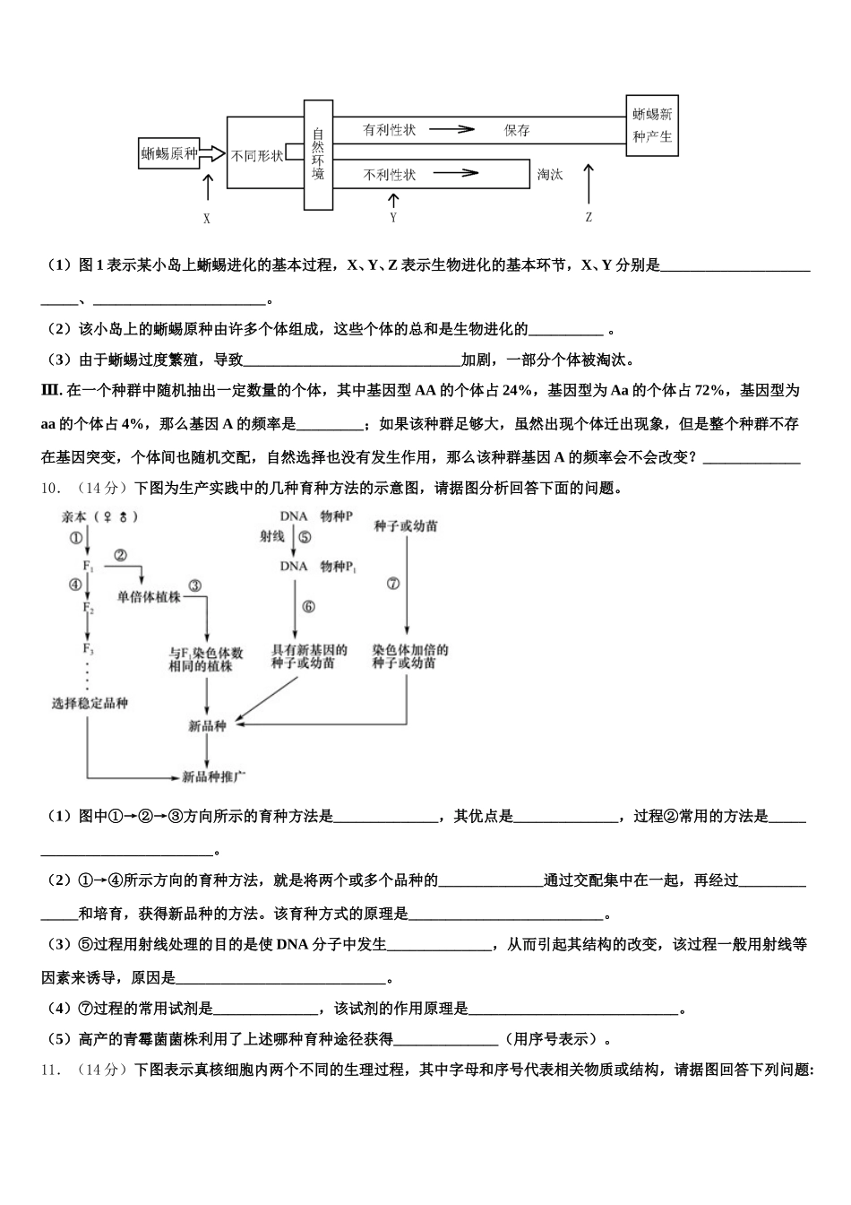 2024-2025学年福建省厦门市松柏中学高一生物第二学期期末质量跟踪监视试题含解析_第3页
