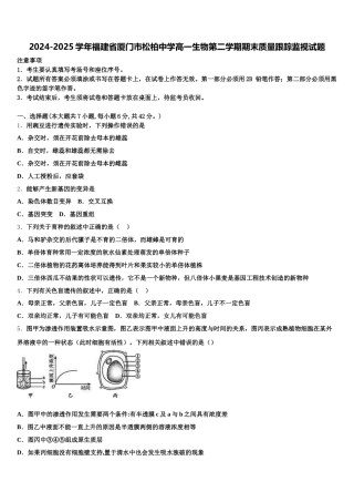 2024-2025学年福建省厦门市松柏中学高一生物第二学期期末质量跟踪监视试题含解析