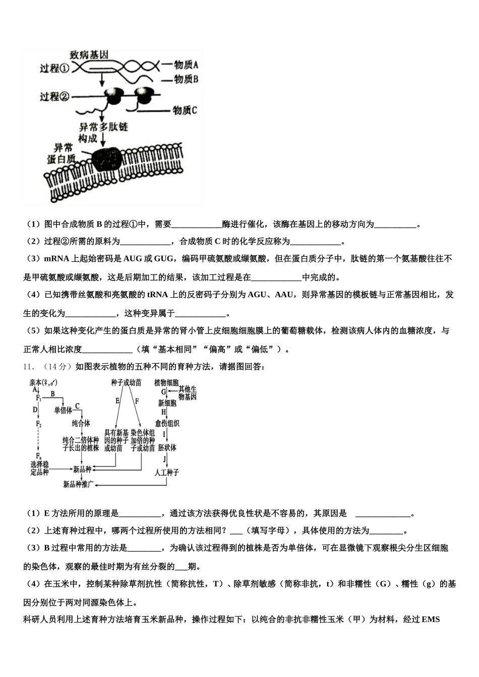2024-2025学年福建省宁德市高中同心顺联盟高一下生物期末联考试题含解析_第3页