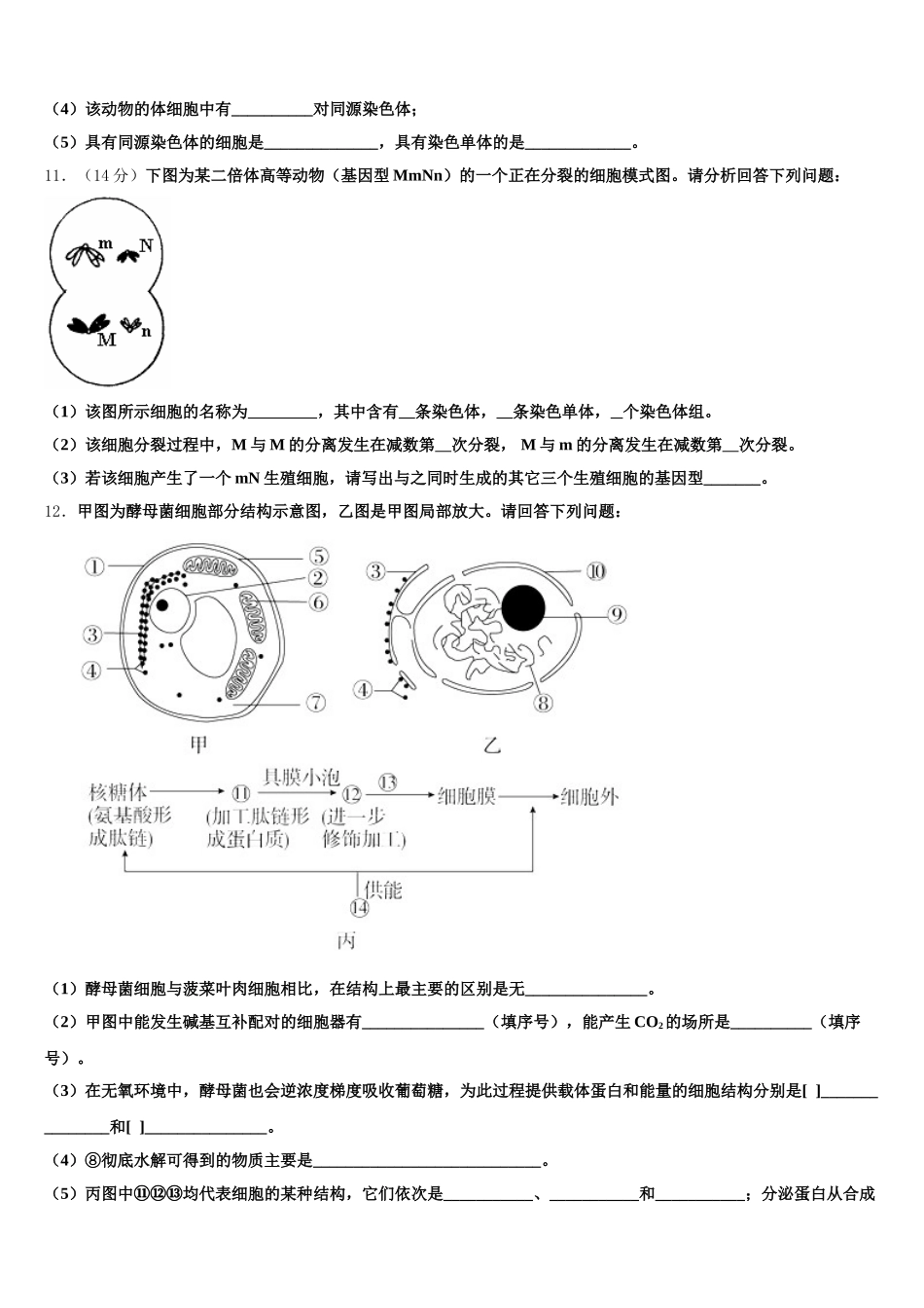2024-2025学年福建省泉州市马甲中学生物高一第二学期期末达标检测模拟试题含解析_第3页