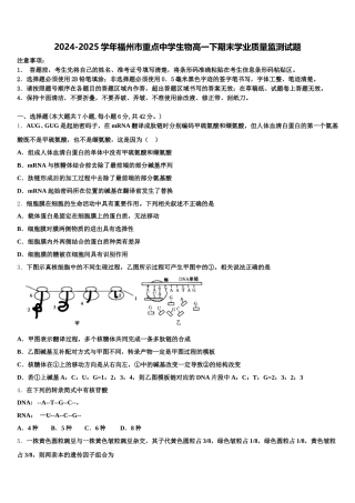 2024-2025学年福州市重点中学生物高一下期末学业质量监测试题含解析