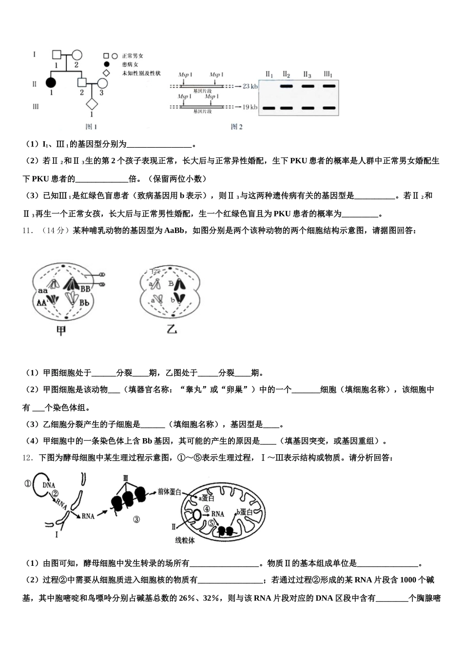 2024-2025学年福建厦门第六中学生物高一下期末检测试题含解析_第3页
