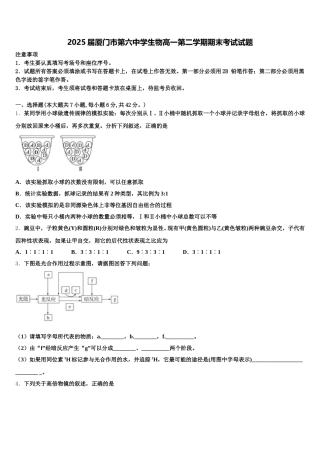 2025届厦门市第六中学生物高一第二学期期末考试试题含解析