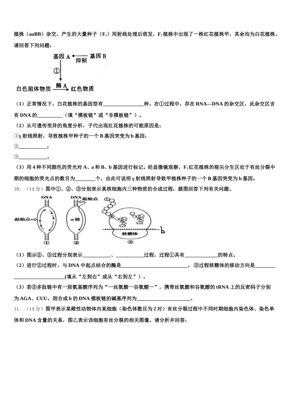 福建省龙岩市武平县第二中学2025年高一下生物期末学业质量监测模拟试题含解析_第3页