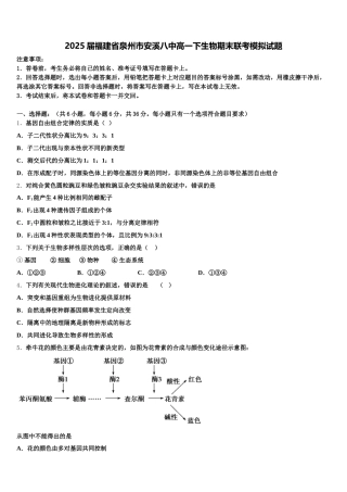 2025届福建省泉州市安溪八中高一下生物期末联考模拟试题含解析