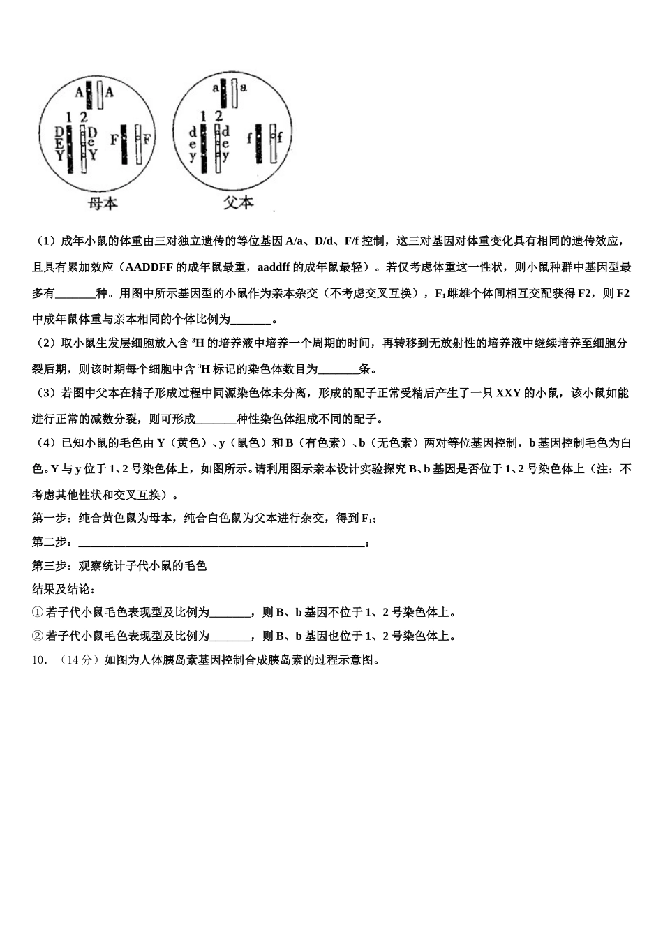 2025届福建省上杭县一中生物高一第二学期期末综合测试模拟试题含解析_第3页