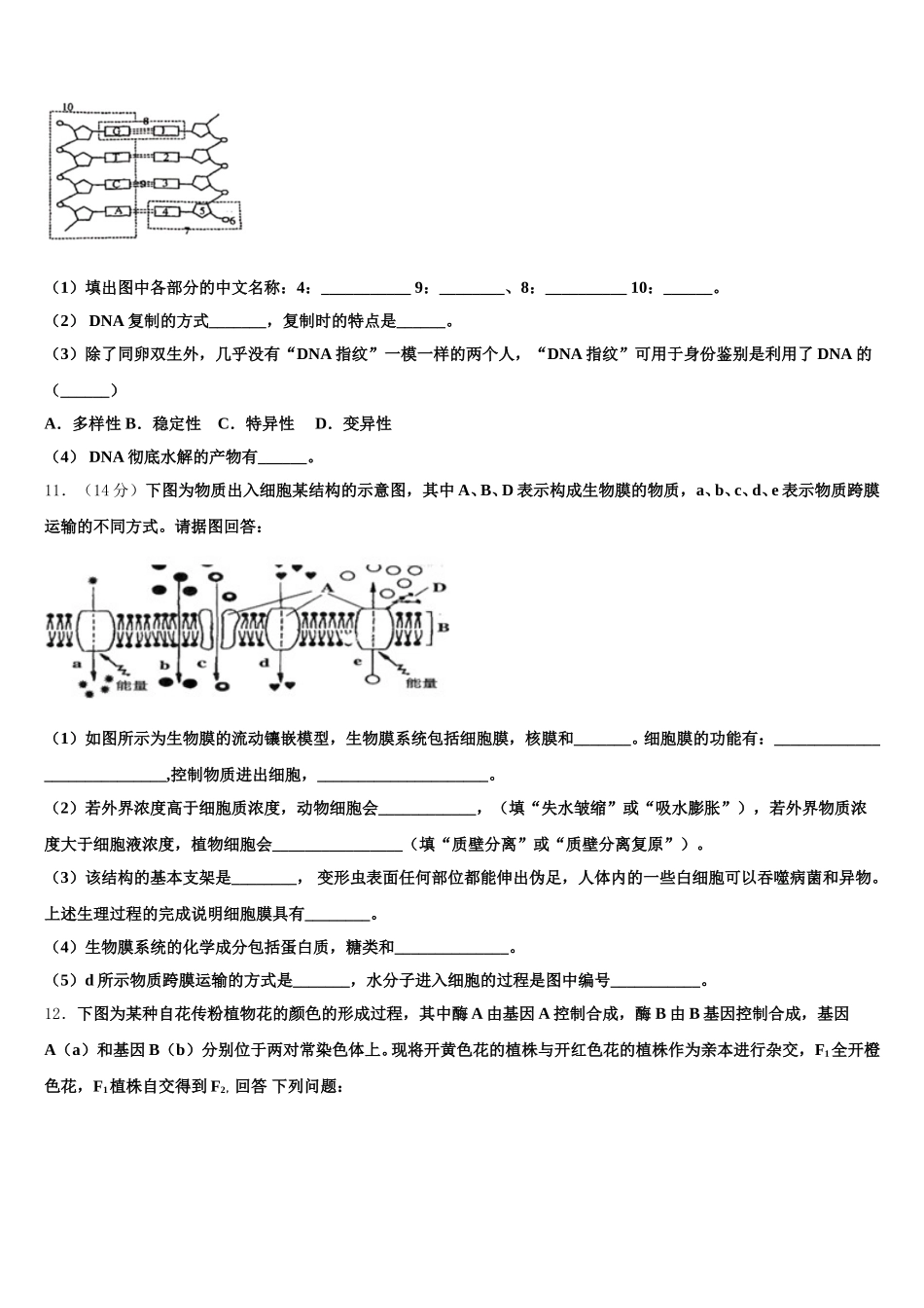 福建省厦门大学附属实验中学2025年高一生物第二学期期末复习检测试题含解析_第3页