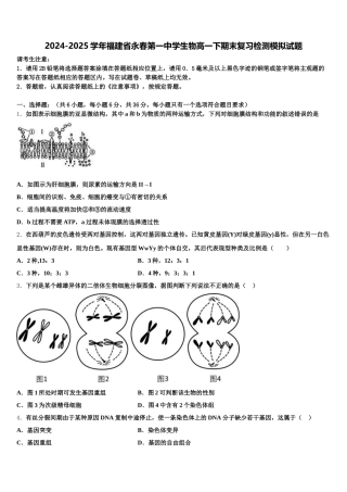 2024-2025学年福建省永春第一中学生物高一下期末复习检测模拟试题含解析