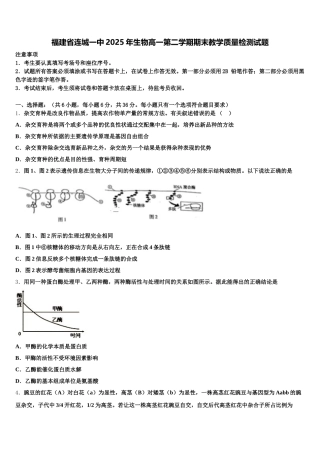 福建省连城一中2025年生物高一第二学期期末教学质量检测试题含解析