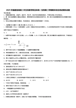 2025年福建省闽侯二中五校教学联合体高一生物第二学期期末综合测试模拟试题含解析