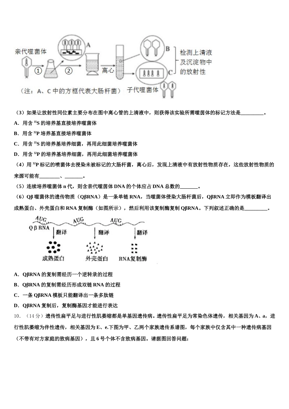 2025届福州市第十九中学生物高一下期末统考模拟试题含解析_第3页