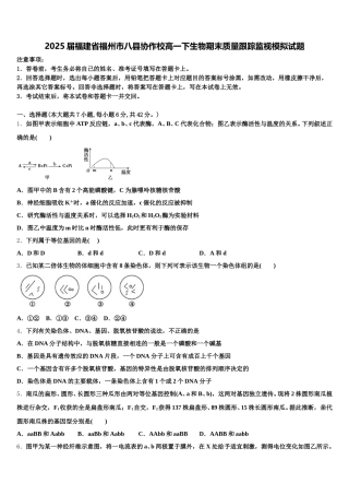 2025届福建省福州市八县协作校高一下生物期末质量跟踪监视模拟试题含解析