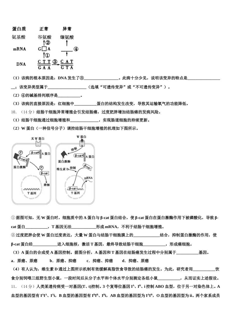 2024-2025学年福建省南安市侨光中学高一下生物期末复习检测试题含解析_第3页