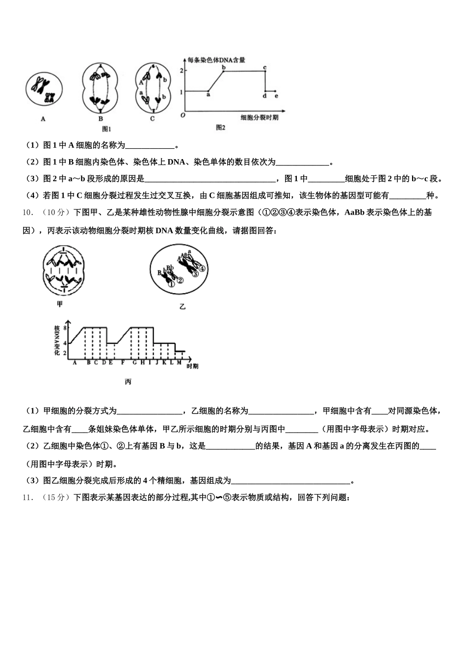 福建省永春华侨中学2025年生物高一第二学期期末检测模拟试题含解析_第3页