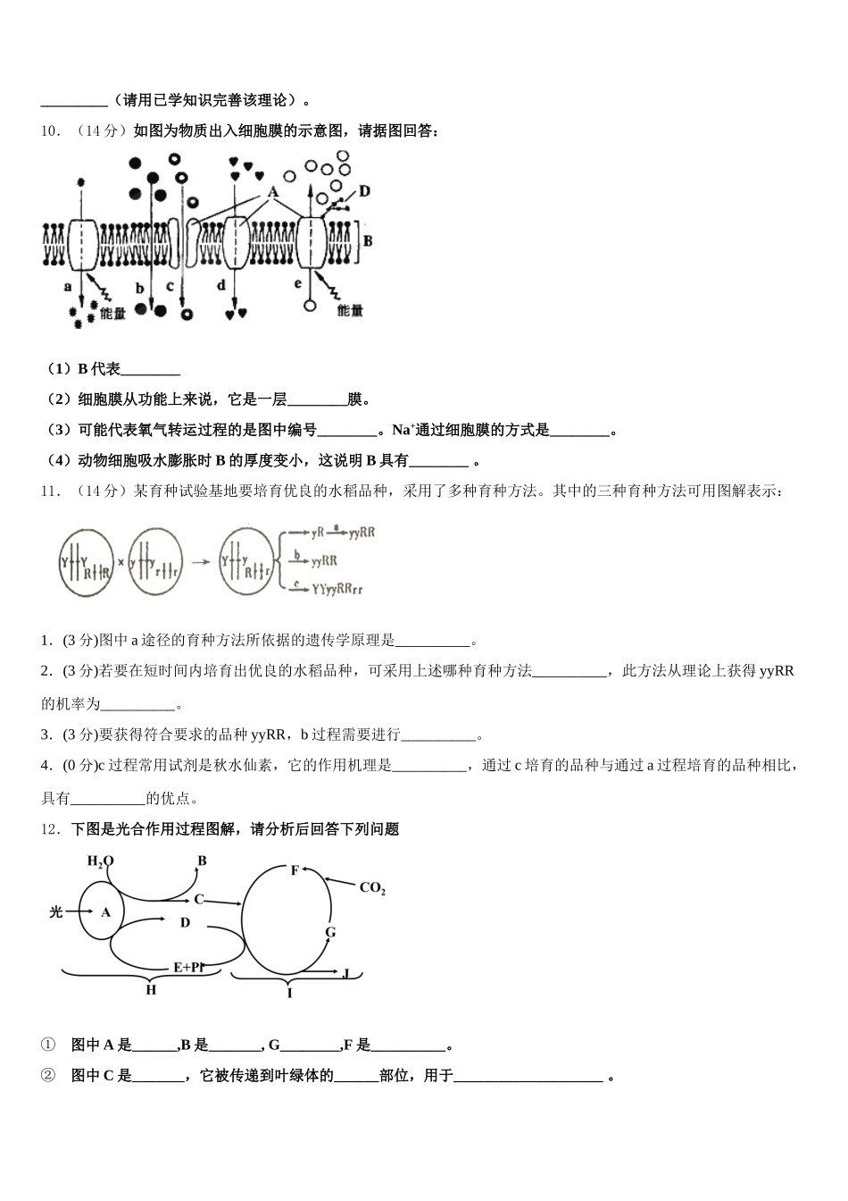 2025届厦门六中 生物高一下期末综合测试试题含解析_第3页